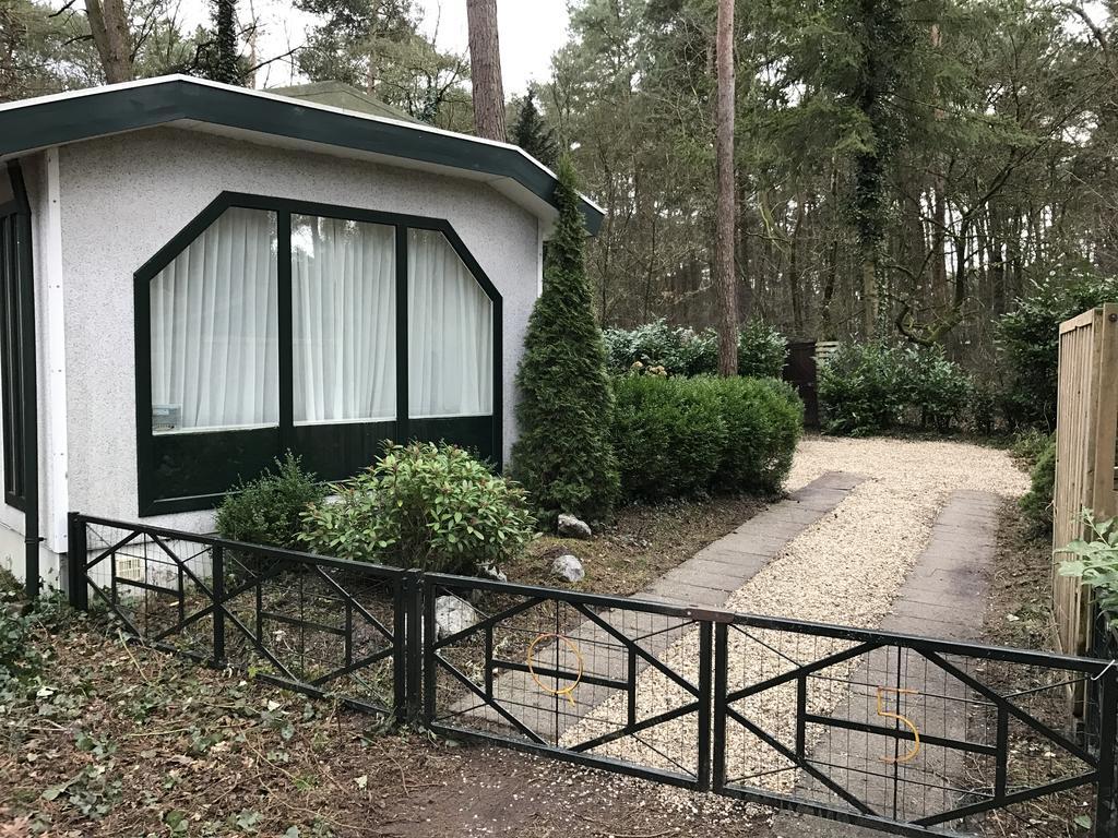 Chalet Dennenvelt Villa Doornspijk Exterior photo